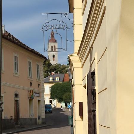 Penzion U Brany Кутна-Гора Экстерьер фото